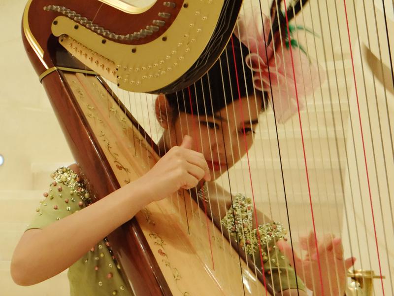 harp hong kong graceful 2